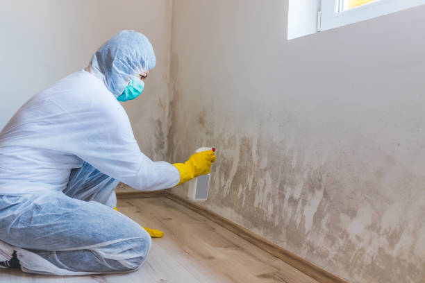 Licensed Mold Remediation service in Wylie, TX - WQB Mold Removal