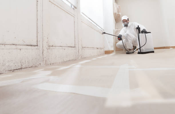 24/7 Emergency Mold Remediation experts in Wylie, TX