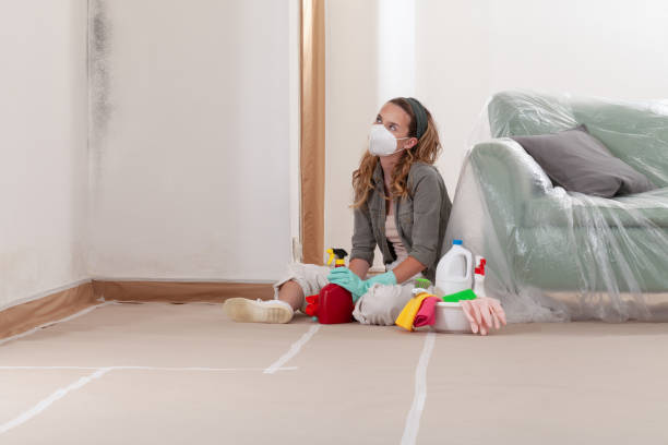 Reliable Mold Remediation contractor in Wylie, TX by WQB Mold Removal